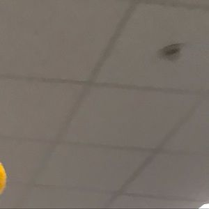 Meet your Posher, Marcus